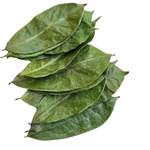 Soursop dried leaves | graviola guanabana | Annona muricata