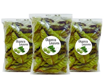 Natural Dried Guava Leaves, Herbal Tea Ingredient
