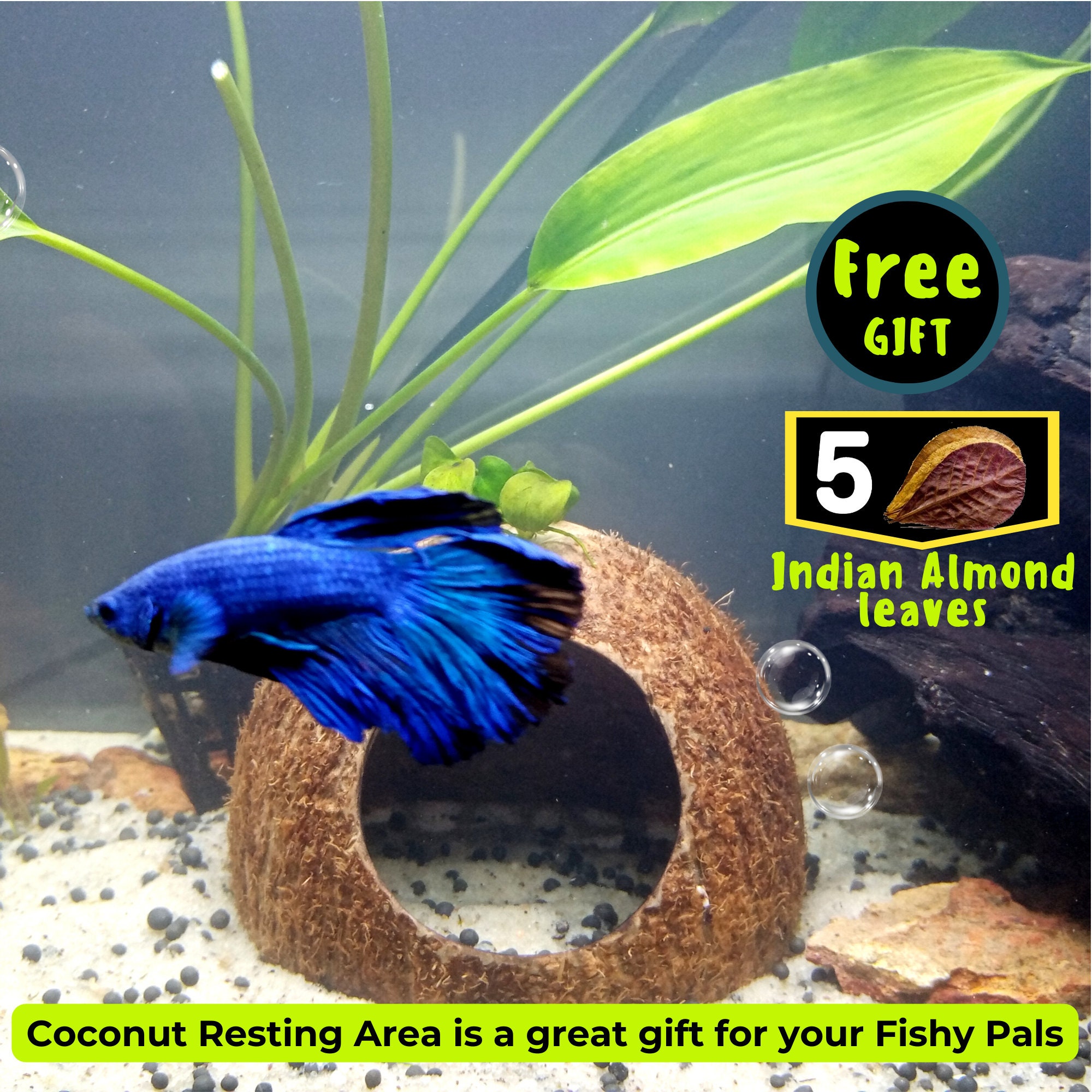 Large Aquarium Cave Coconut Shell Cave, Hide, Coconut Shell Dome, Pleco