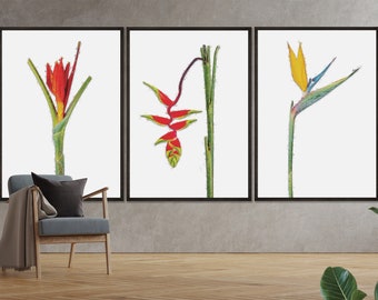 Botanical Prints set of 3 wall art, Floral Print, Botanical Art, Floral Wall Art, Plant Poster, Large Wall Art Abstract, Printable Wall Art