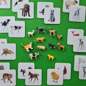 Montessori Lernspielzeug Tiere Montessori Spielzeug ab 2 Jahre Montessori ab 3 Jahre Tiere zuordnen Lernspielzeug Geschenk Ostern 1 Jahr Geschenk Geburtstagsgeschenk Mädchen ab 2 Jahre Geschenk Junge ab 3 Jahre Tierfiguren Geschenk Weihnachten