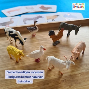 Zuordnungsspiel Bauernhoftiere Bauernhof Welche Tiere leben auf einem Bauernhof Geschenk Kleinkinder Montessori Spiel Tiere zuordnen Bauernhof Nutztiere kennenlernen Geschenk Tierfiguren Bauernhof Waldorf Geschenk Tierkarten Karten mit Tieren
