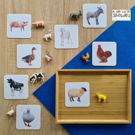 Bauernhoftiere Montessori Zuordnungsspiel Tierkarten +Tierfiguren  Montessori Geschenk für Kleinkinder Jungen Mädchen Geburtstag Ostern