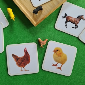 Montessori Lernspielzeug Tiere Montessori Spielzeug ab 2 Jahre Montessori ab 3 Jahre Tiere zuordnen Lernspielzeug Geschenk Ostern 1 Jahr Geschenk Geburtstagsgeschenk Mädchen ab 2 Jahre Geschenk Junge ab 3 Jahre Tierfiguren Geschenk Weihnachten