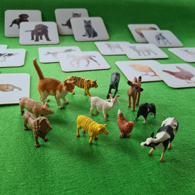 Montessori Lernspielzeug Tiere Montessori Spielzeug ab 2 Jahre Montessori Spielzeug ab 3 Jahre Tiere zuordnen Lernspielzeug Geschenk Ostern Geburtstagsgeschenk Mädchen ab 2 Jahre Geschenk Junge ab 3 Jahre Tierfiguren Geschenk Weihnachten