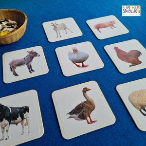 Zuordnungsspiel Bauernhoftiere Bauernhof Welche Tiere leben auf einem Bauernhof Geschenk Kleinkinder Montessori Spiel Tiere zuordnen Bauernhof Nutztiere kennenlernen Geschenk Tierfiguren Bauernhof Waldorf Geschenk Tierkarten Karten mit Tieren