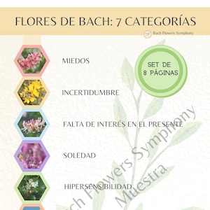 DIGITAL - Póster de Flores de Bach: Las 7 Categorías (8 páginas) - Español