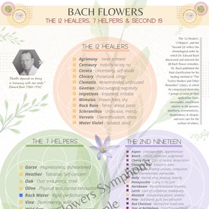 May include: A colorful chart with a list of Bach Flower Remedies, categorized into three groups: The 12 Healers, The 7 Helpers, and The Second 19. Each flower remedy is listed with its name and a brief description of its associated emotional state. The chart also includes a section on preparation methods for the remedies.