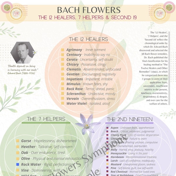 NUMÉRIQUE - Affiche Fleurs de Bach : Les 12 guérisseurs, 7 Aides et Second 19