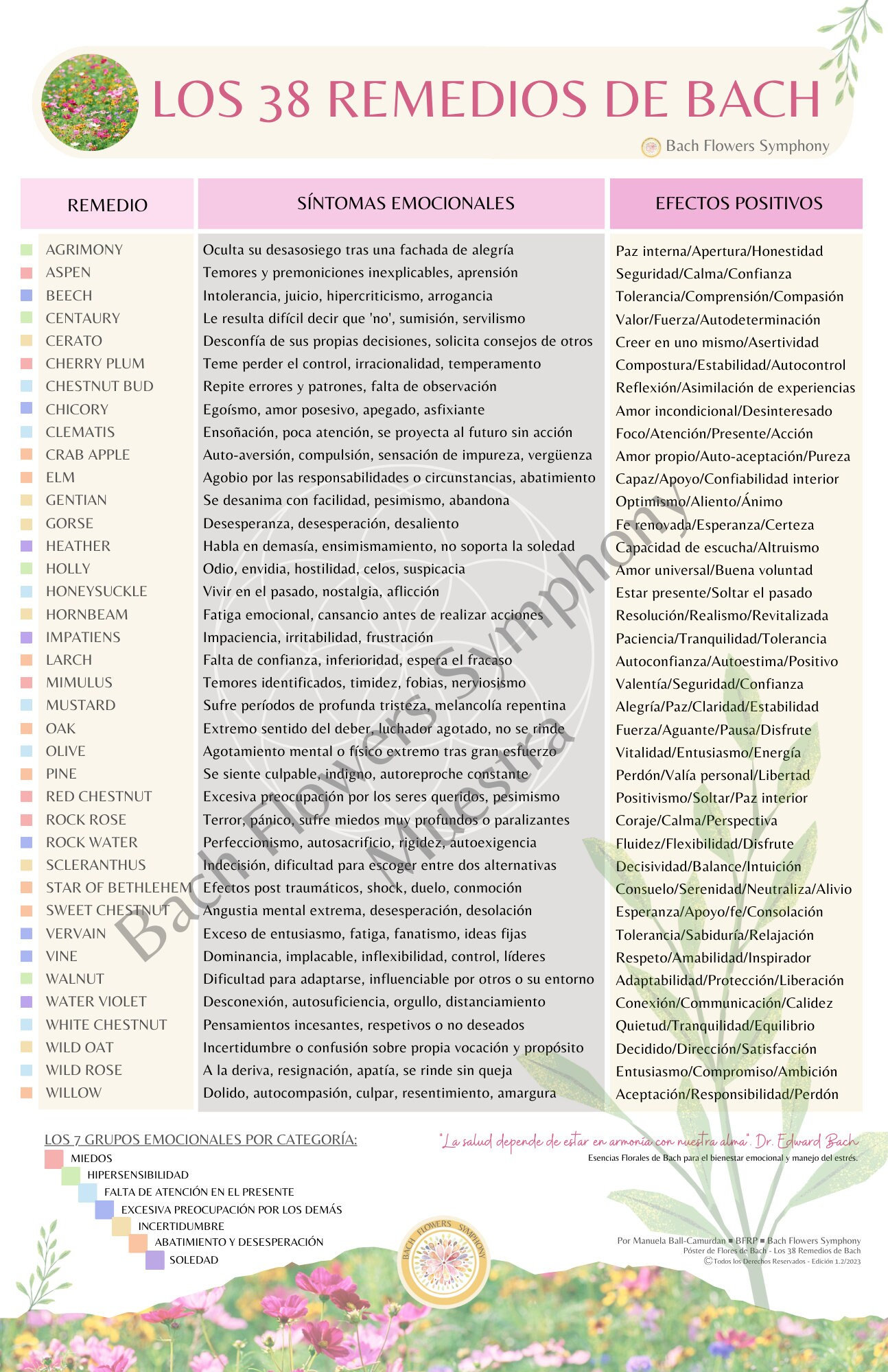 DIGITAL - Poster de las 38 Flores de Bach / Póster de Flores de Bach (ESPAÑOL)