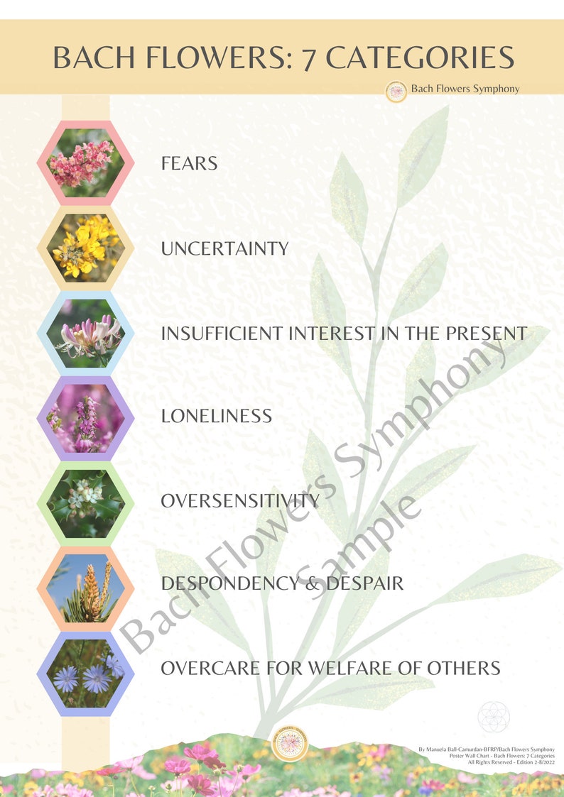 DIGITAL Bach Flower Poster 7 Categories DIGITAL Poster / Wall Chart Etsy