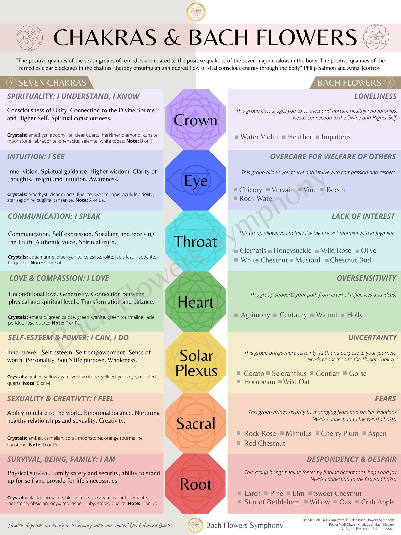 DIGITAL Chakras and Bach Flowers Poster Wall Chart Digital - Etsy