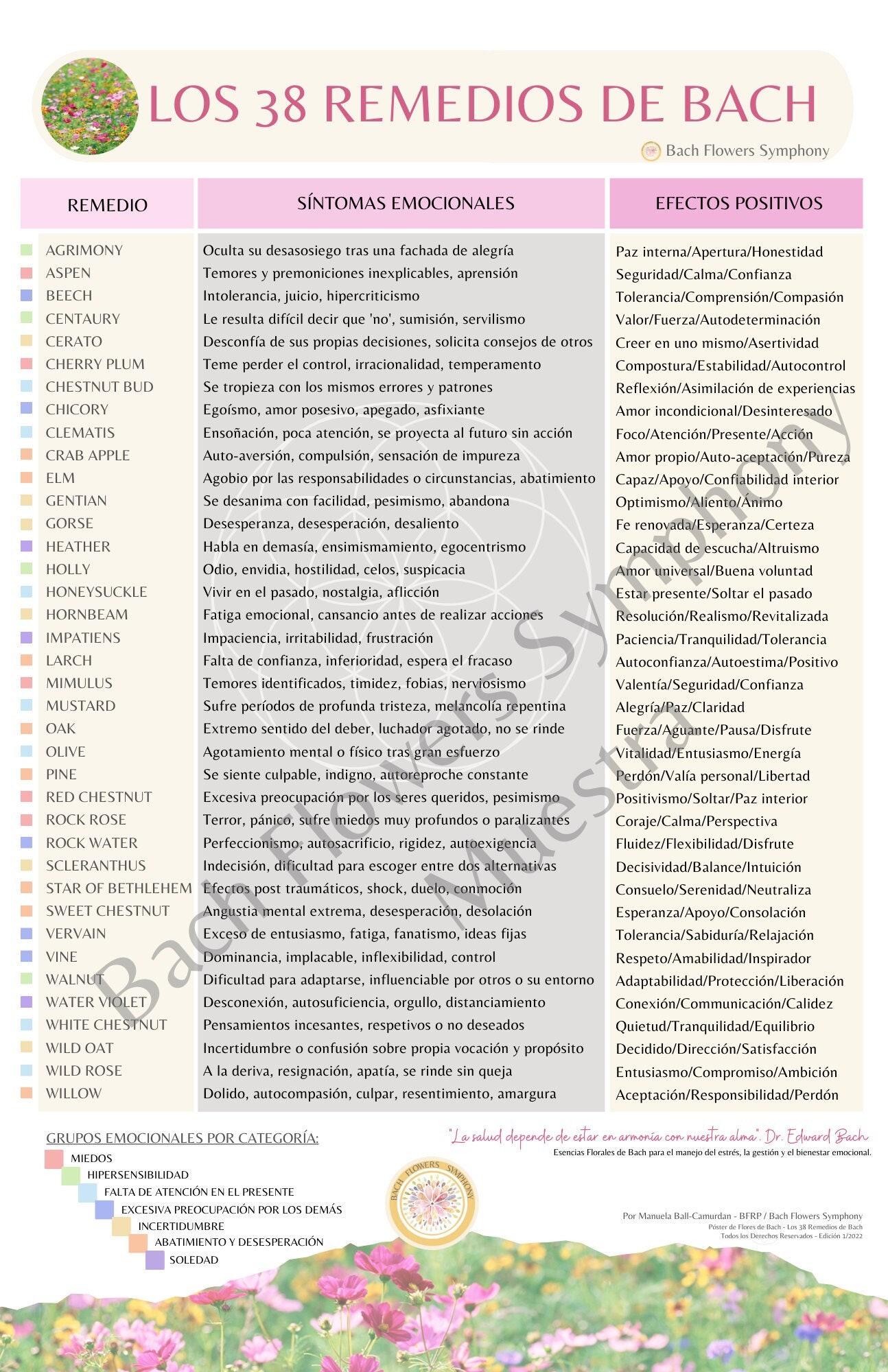 DIGITAL Poster De Las 38 Flores De Bach ESPAÑOL / Flores - Etsy DIGITAL Poster De Las 38 Flores De Bach ESPAÑOL / Flores - Etsy