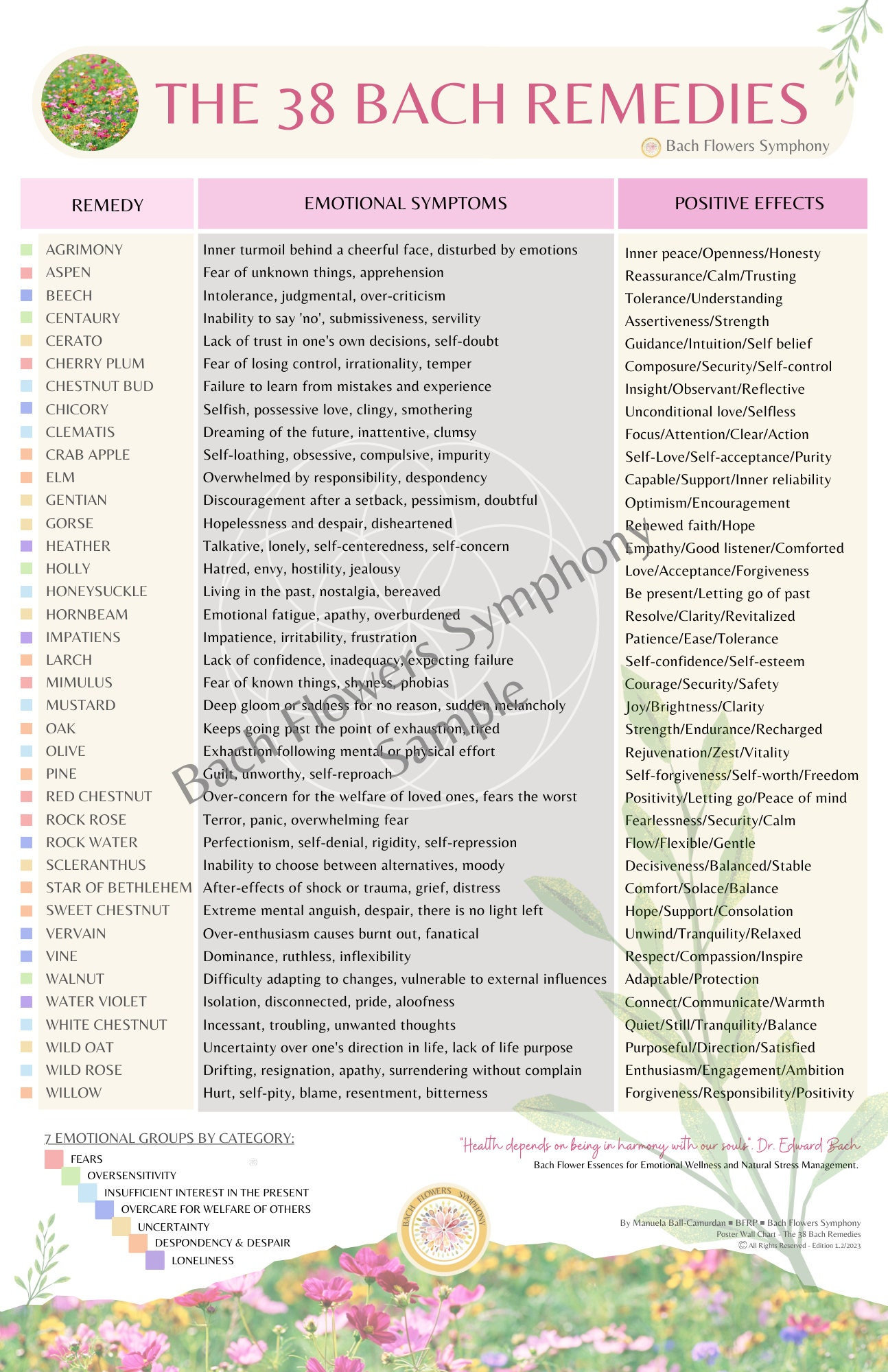 DIGITAL Bach Flowers Poster Wall Chart Digital Poster / Bach Remedies