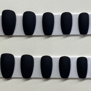 Matzwarte middelgrote doodskistpers op nagelkit