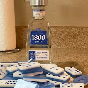 1800 Inspired Dominoes Set