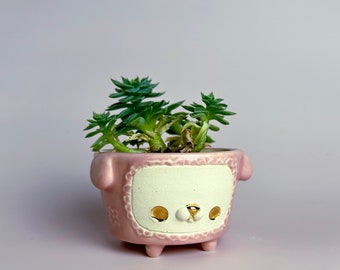 Cute Succulent planter, succulent planter with drainage,small ceramic planter, cute cactus planter, animal planter, cute ceramics.