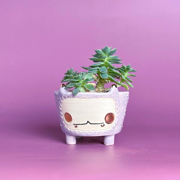 Cute Succulent planter, succulent planter with drainage,small ceramic planter, cute cactus planter, animal planter, cute ceramics.