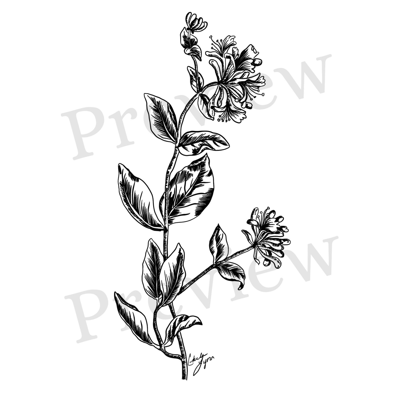 Honeysuckle June Birth Flower Wall Art / June Birth Flower Etsy