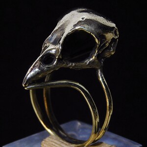 Puede incluir: Un anillo de plata con forma de cráneo de pájaro con una banda dorada. El anillo está hecho de metal y tiene un diseño detallado.