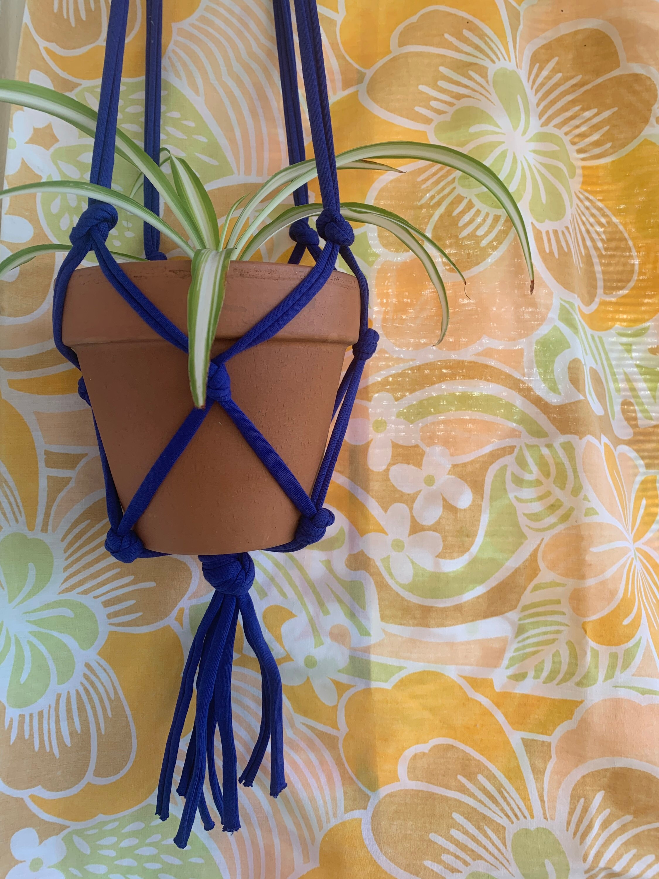 Suspension Pour Pot Coloris Bleu Vif