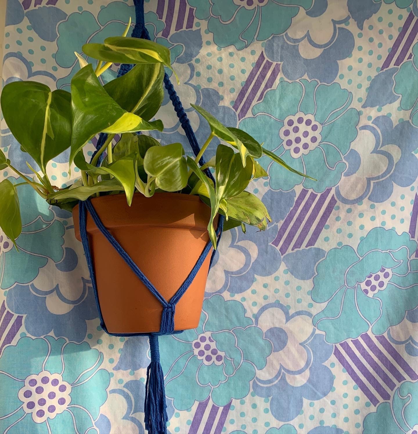 Suspension Pour Plante en Macramé Coloris Bleu Outremer