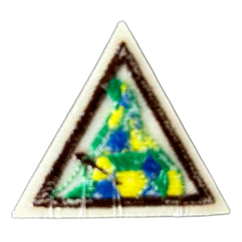 May include: A triangular scout patch with a brown border and a colorful embroidered design inside. The design features a green, blue, and yellow pattern.