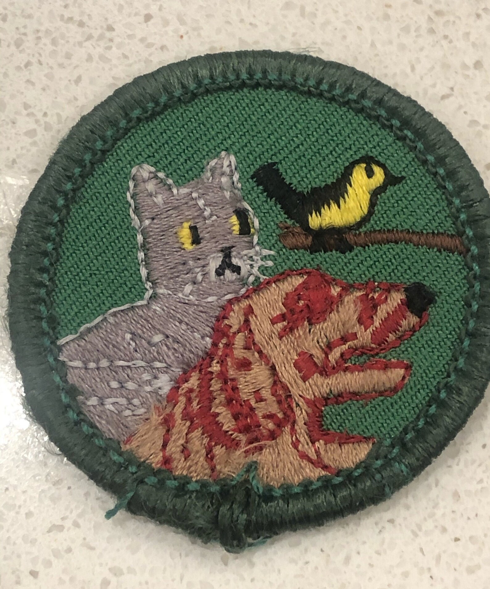 Retired Girl Scout Junior Pets Badge Patch 20012010 Green Etsy