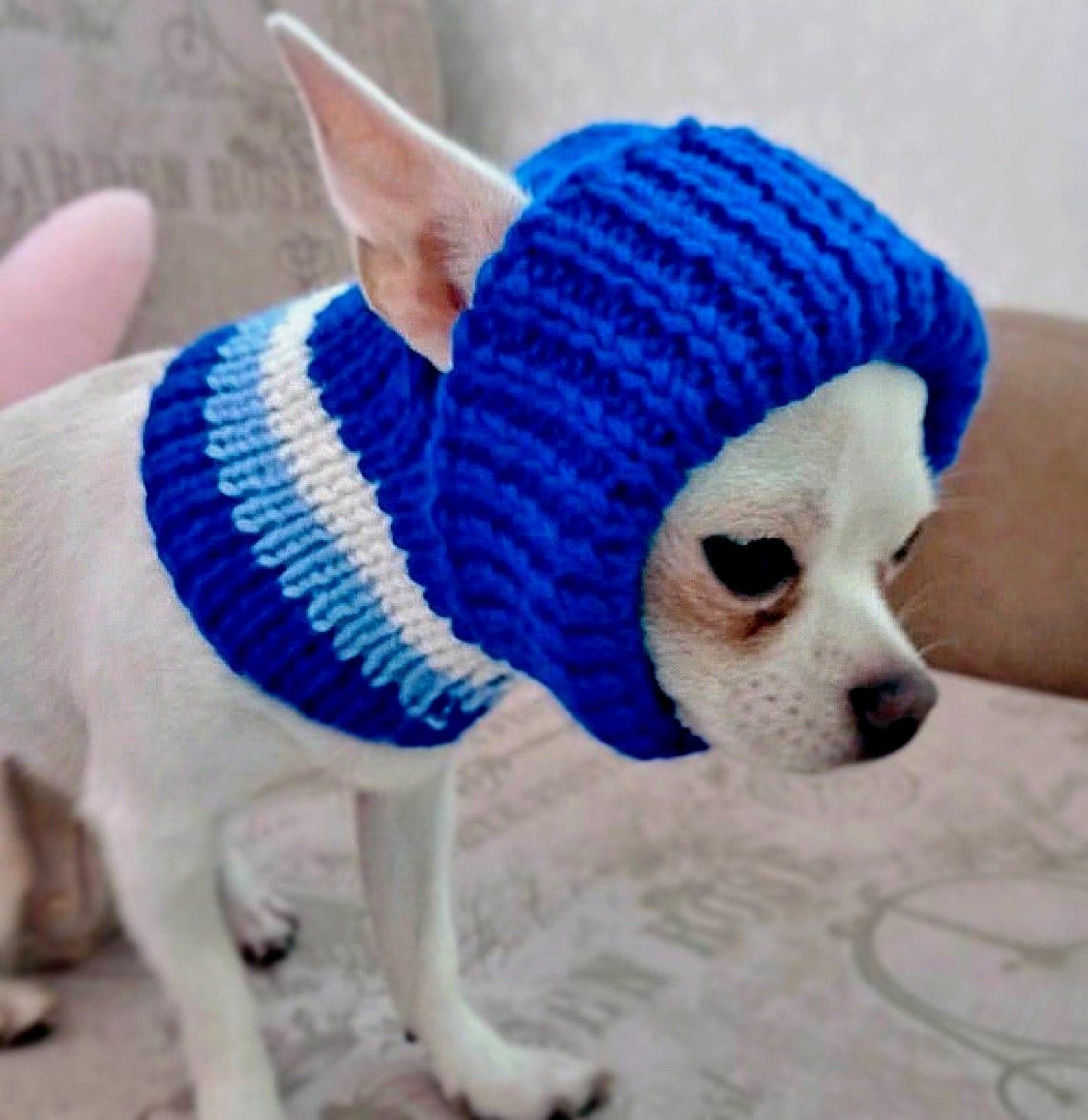 Winter hat for dog with ear holes Blush and navy Knitted dog Etsy