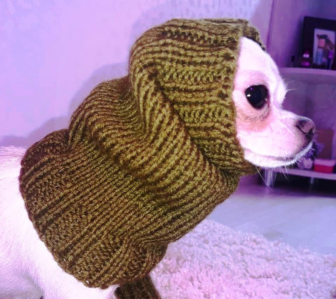 Warm knitted dog snood Dark green dog snood Dog cowl Dog neck Etsy
