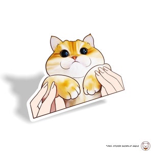 Cute Cat with Big Eyes | Waterproof Laptop Water Bottle Flask Sticker Decal