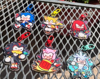 Może przedstawiać: Sześć kolorowych breloków z postaciami z serii gier wideo Sonic the Hedgehog. Breloki wykonane są z przezroczystego akrylu i przedstawiają szczegółowe ilustracje Sonica, Tailsa, Knucklesa, Shadowa, Amy i Silvera. Każdy brelok ma metalowy pierścień do przymocowania do torby lub plecaka.