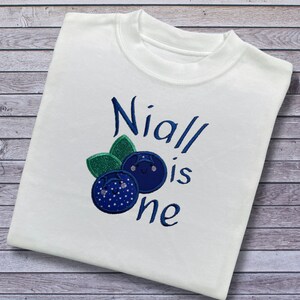May include: White onesie with blue embroidery that says "Niall is one" and features two blue blueberries with green leaves. One blueberry has a white star pattern and the other has a smiling face.