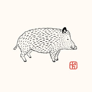 Sanglier - Inoshishi