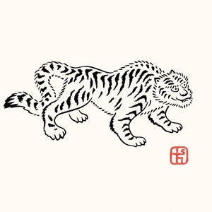 Tigre - Tora