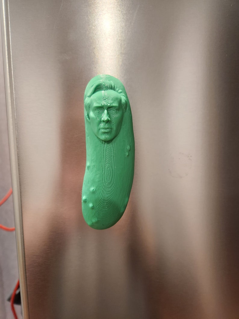 Picolas Cage Fridge Etsy