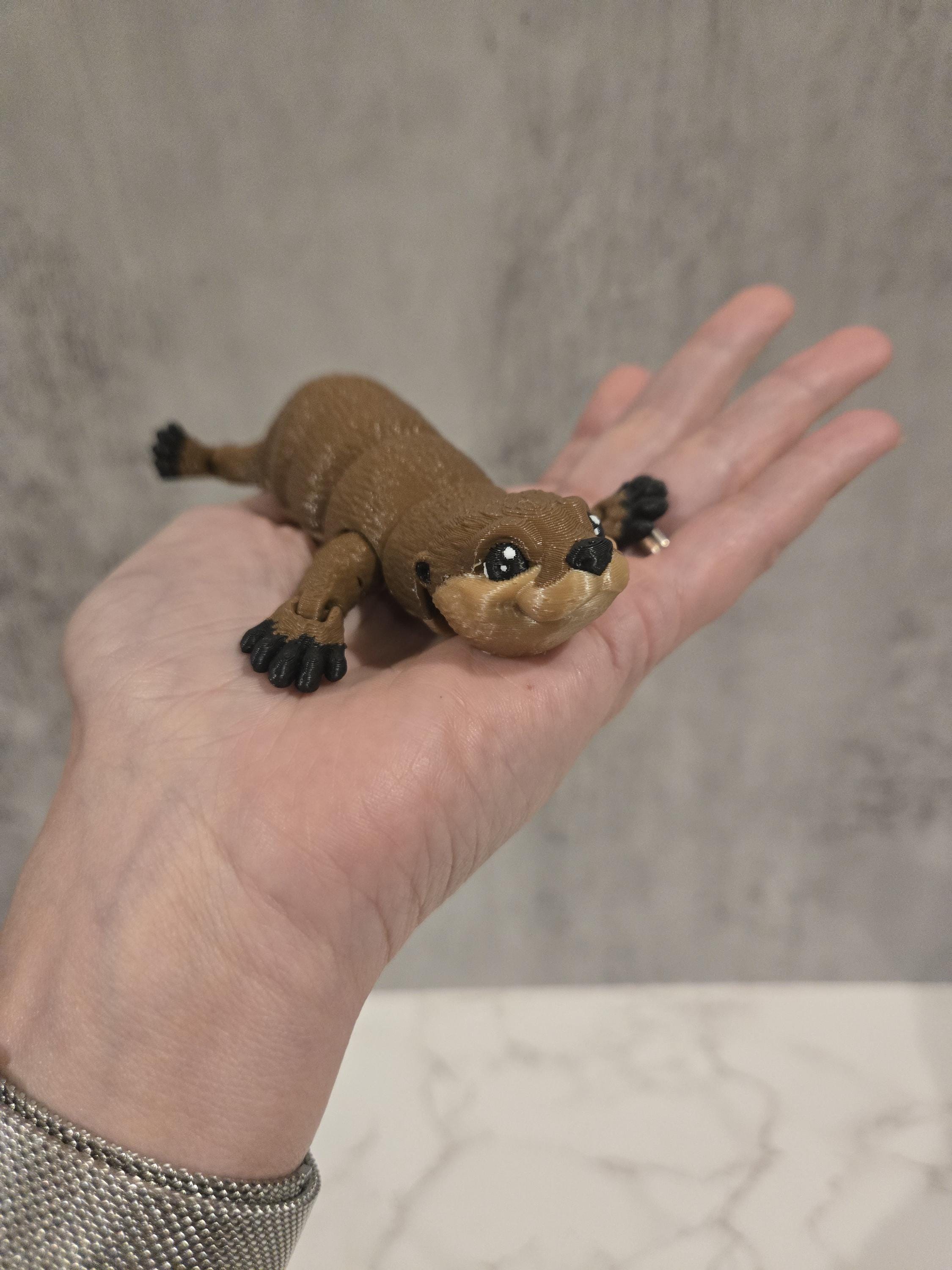 Baby Otter 3D printed Fidget Toy
