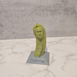 Picolas Cage Desk Ornament