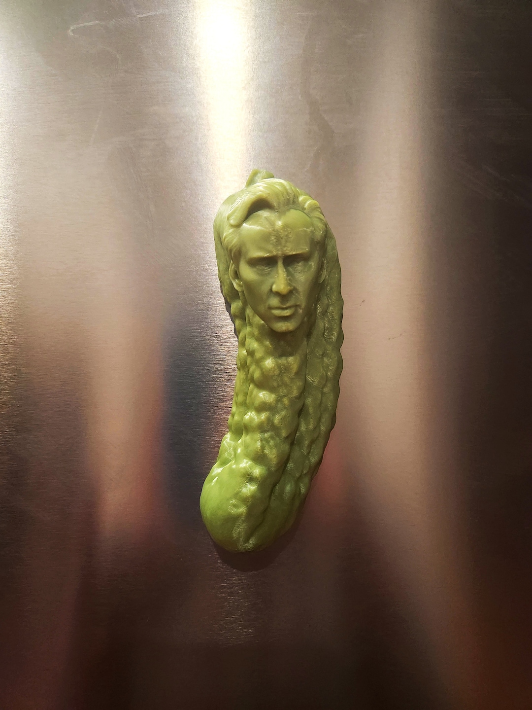 Picolas Cage Fridge Nicolas Cage 3D Etsy