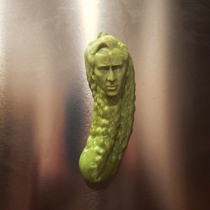 Picolas Cage Fridge Magnet - Nicolas Cage 3D