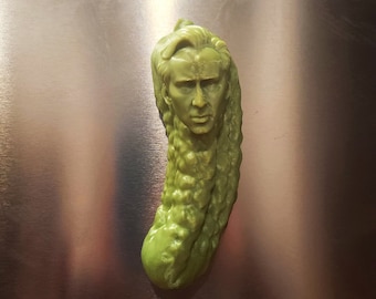 Picolas Cage Fridge Magnet - Nicolas Cage 3D