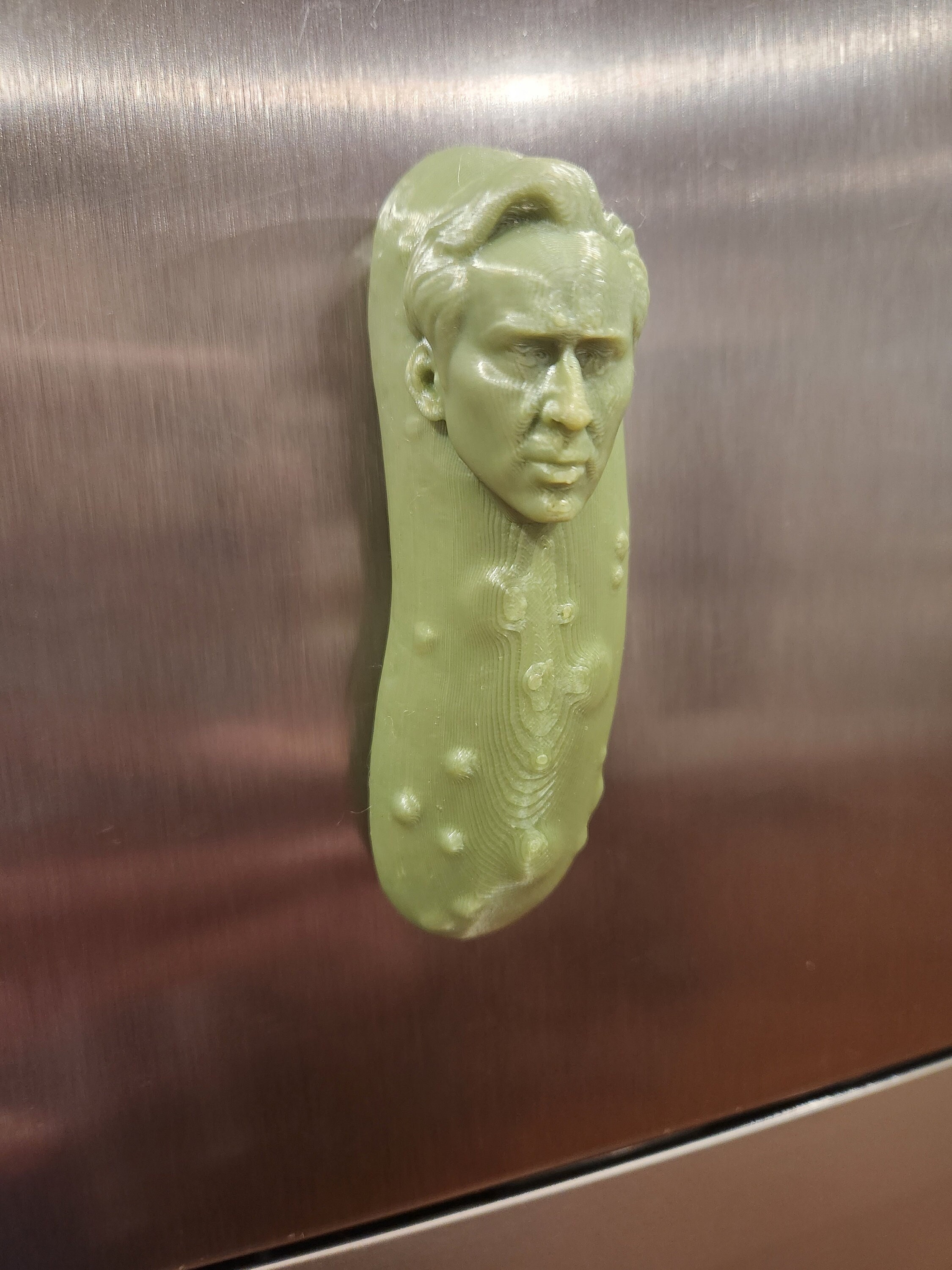 Picolas Cage Fridge Etsy UK