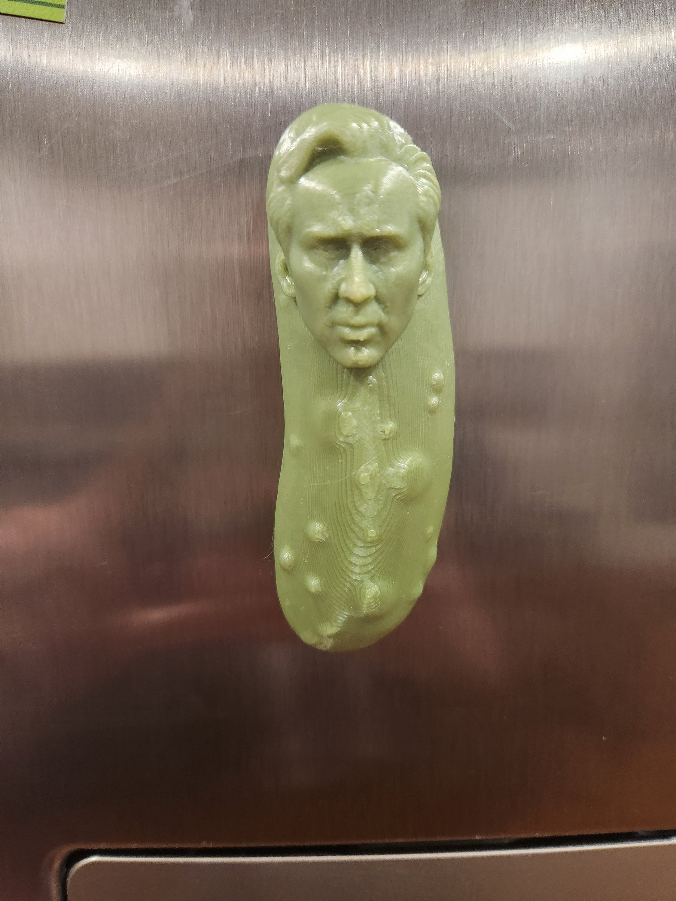 Picolas Cage Fridge Etsy UK