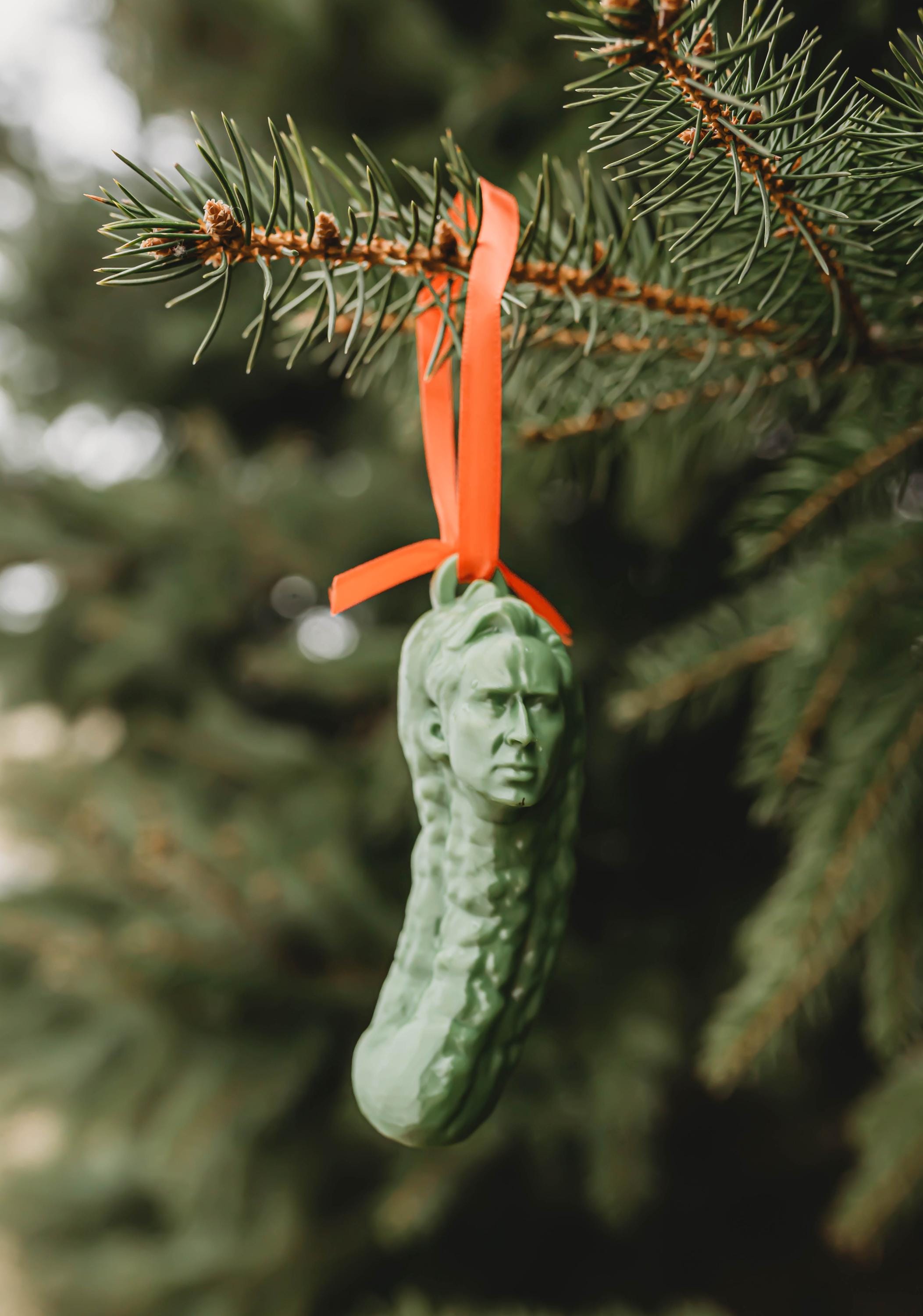 Picolas Cage Christmas Ornament - Etsy