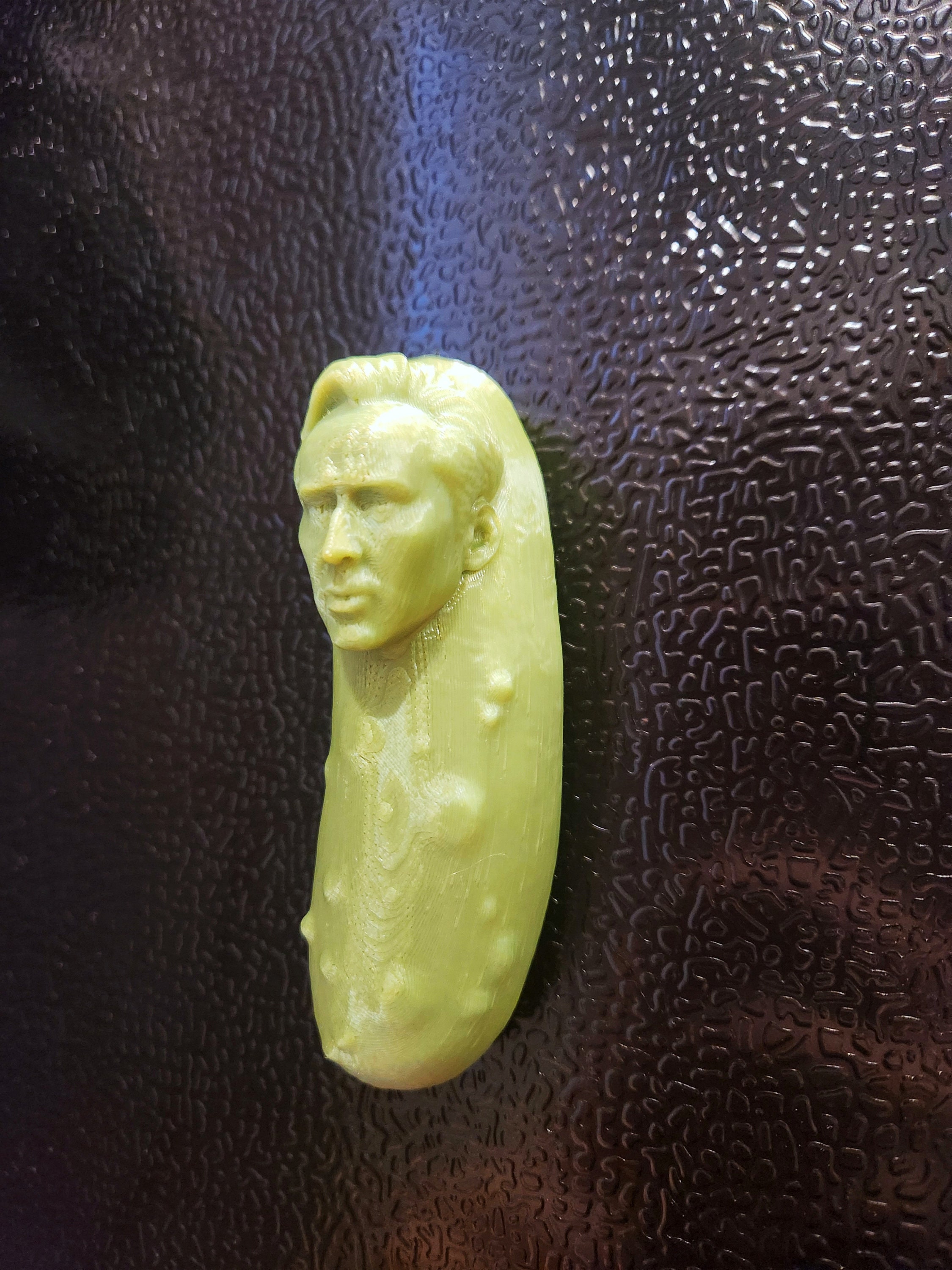 Picolas Cage Fridge Etsy UK