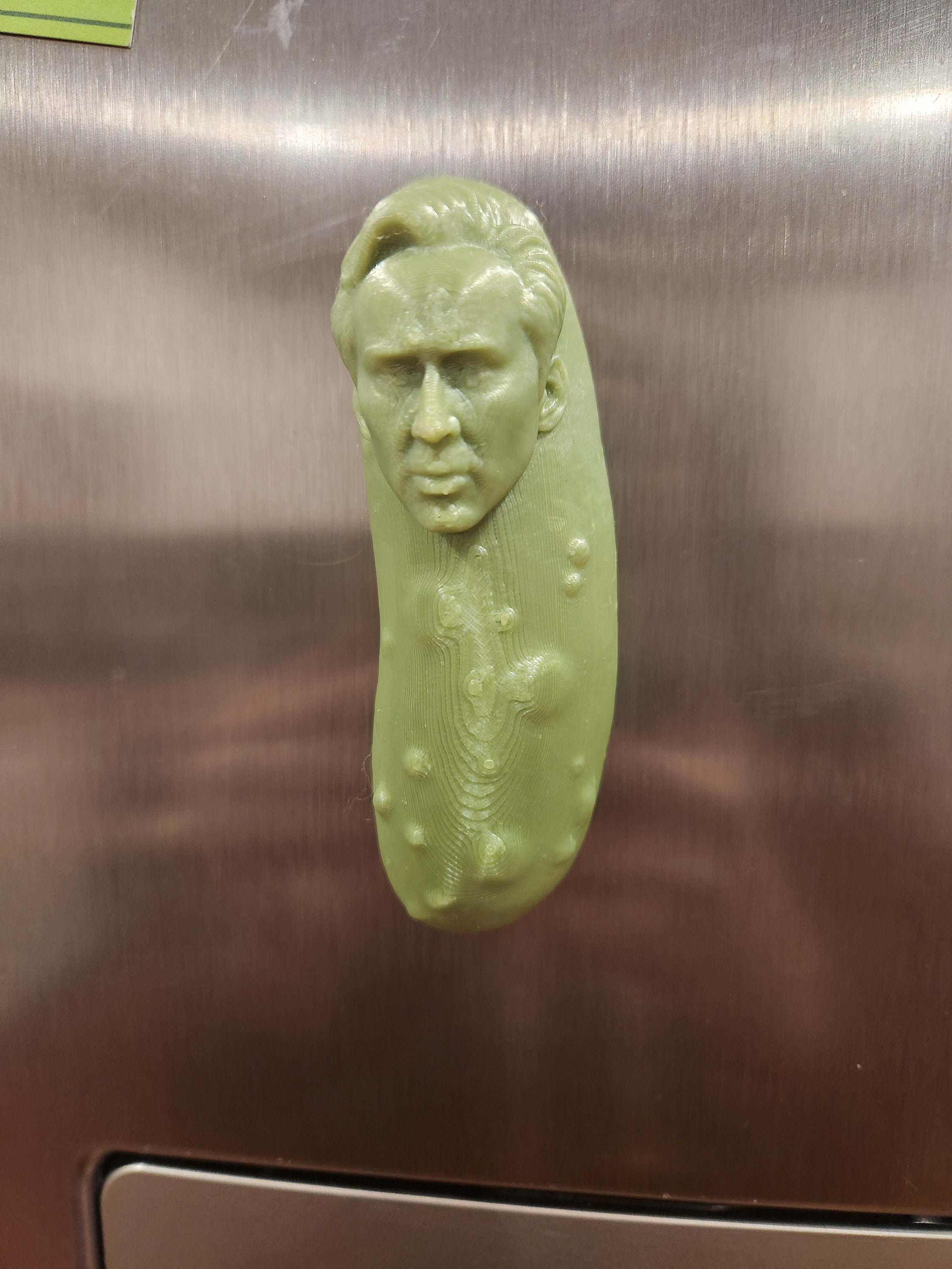 Picolas Cage Fridge Etsy UK