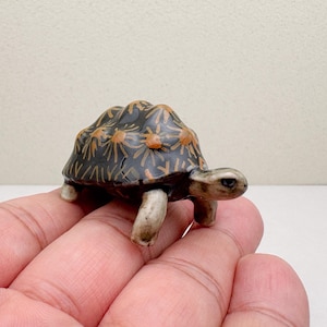 Handmade Ceramic Turtle Figurine: Painted Starburst Design