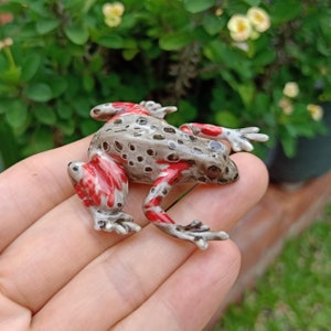 Frog Red Legged Kassina Ceramic Figurine Animal Miniature image 1