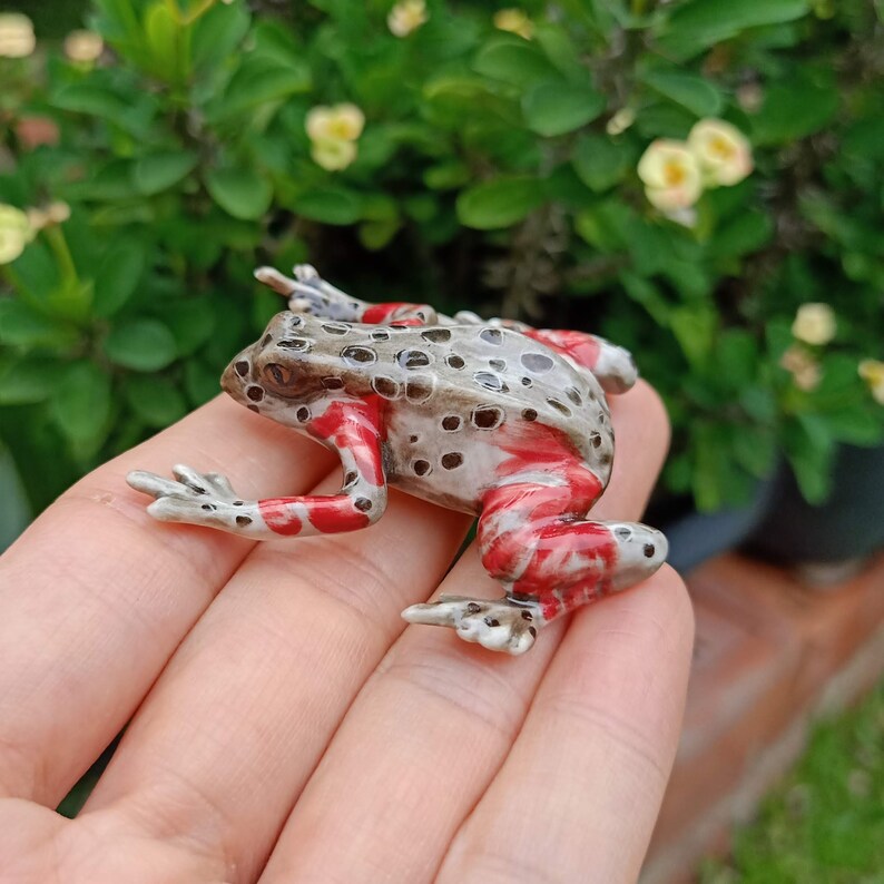 Frog Red Legged Kassina Ceramic Figurine Animal Miniature image 2