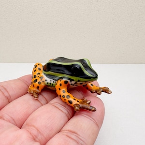 Hand-Painted Rio Madeira Poison Dart Frog Figurine – Ceramic Jungle Decor for Animal Lovers & Exotic Frog Collectors
